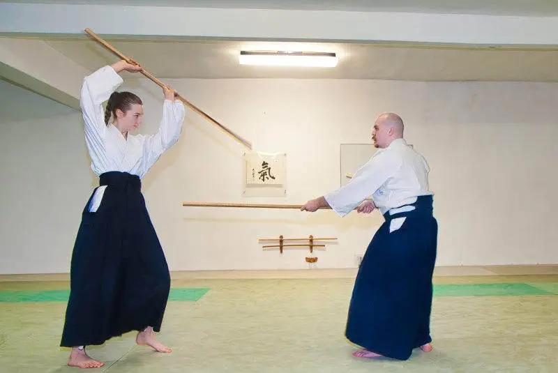 Aikido Training mit Jo (Stock)